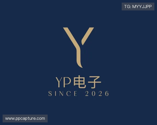 认识YP电子