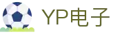 YP电子集团股份有限公司